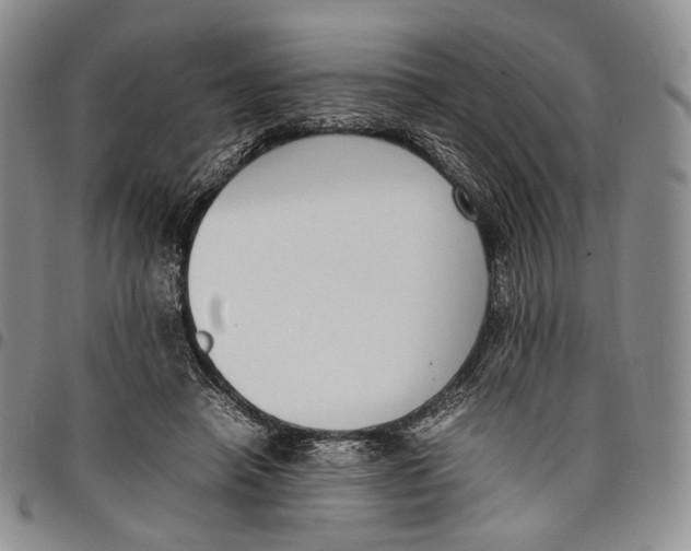 X0000097980450200804141121