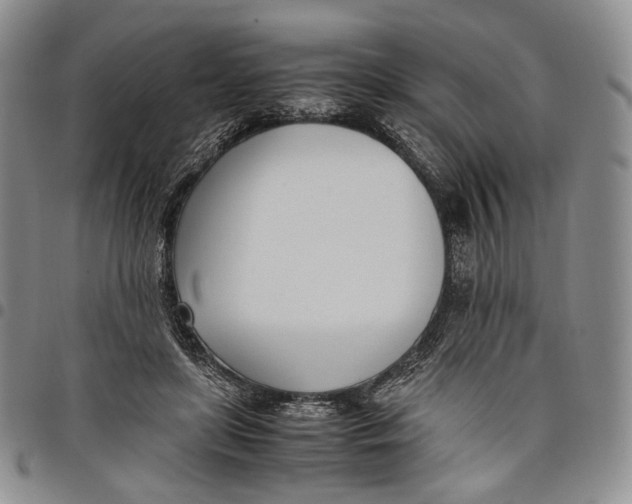 X0000097980451200804141121