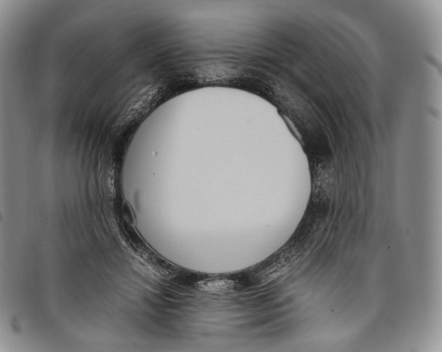 X0000097980452200804141121