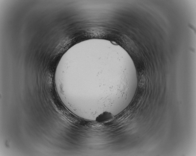 X0000097980456200804141121