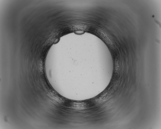 X0000097980457200804141121