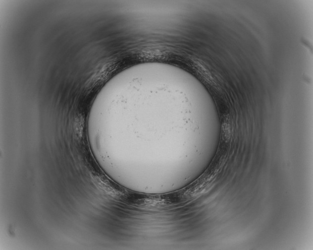 X0000097980458200804141121