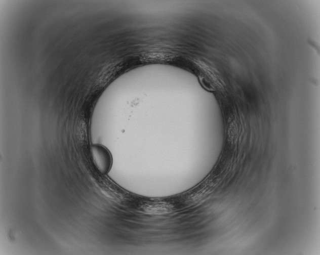 X0000097980459200804141121