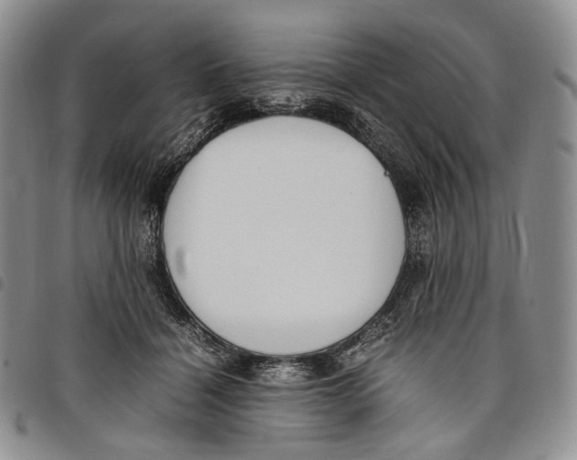 X0000097980460200804141121