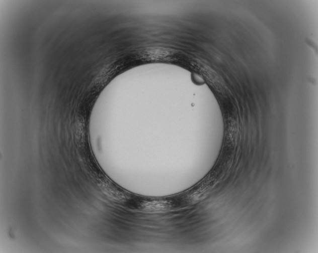 X0000097980461200804141121