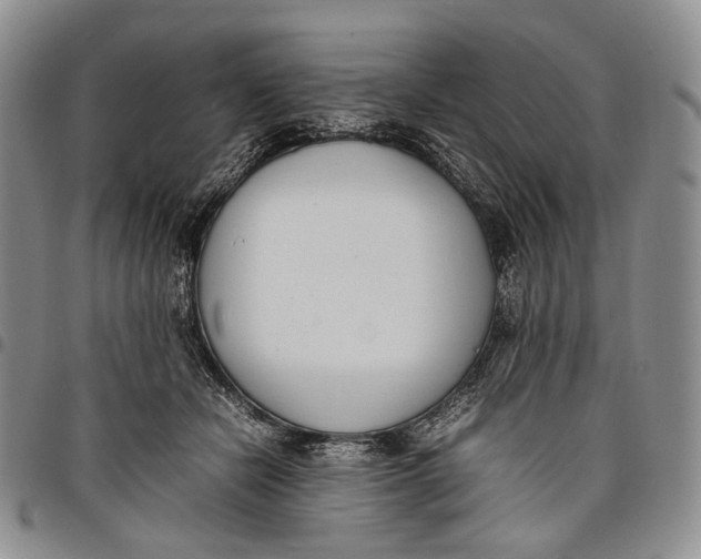 X0000097980462200804141121