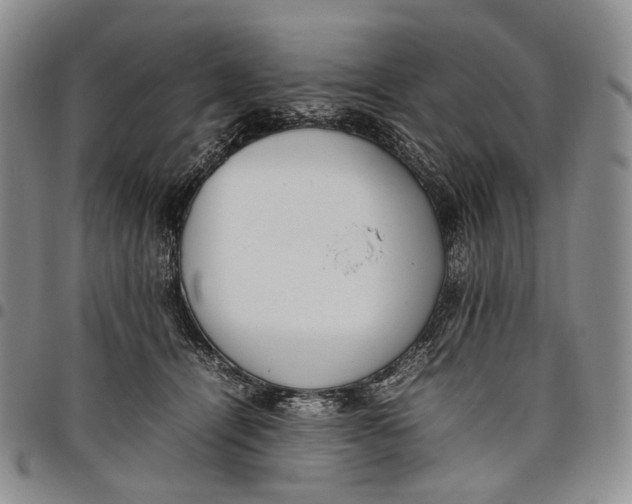 X0000097980464200804141121