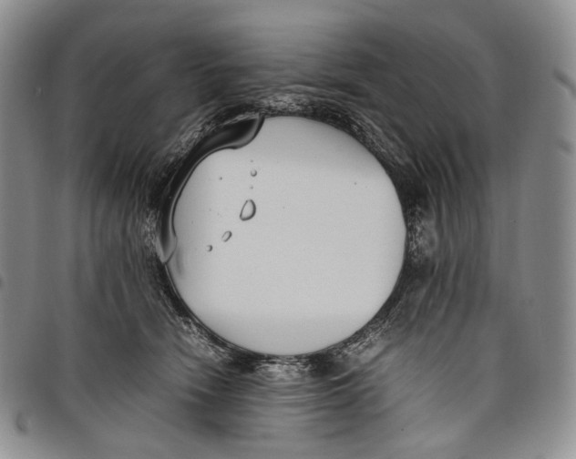 X0000097980466200804141121