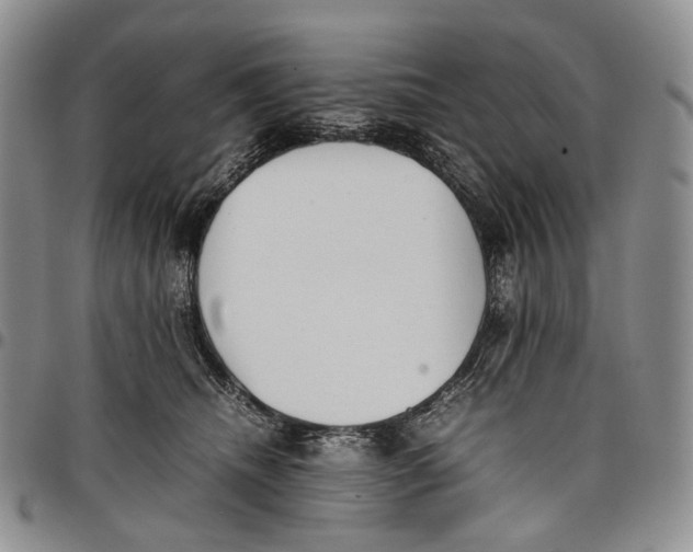 X0000097980468200804141121