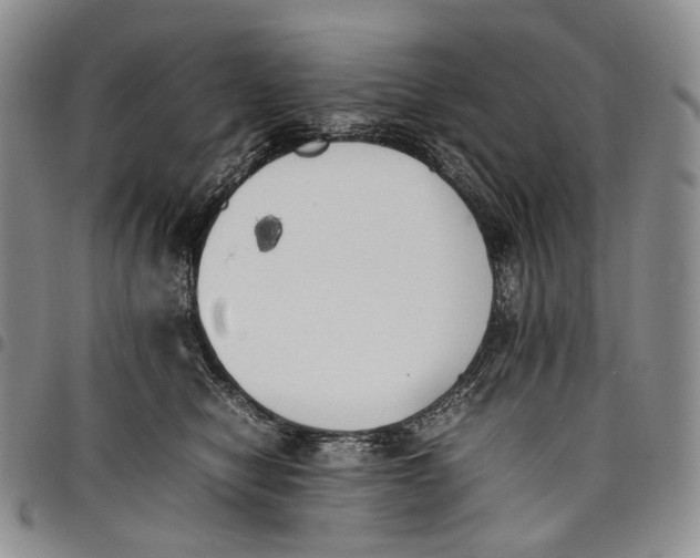 X0000097980470200804141121