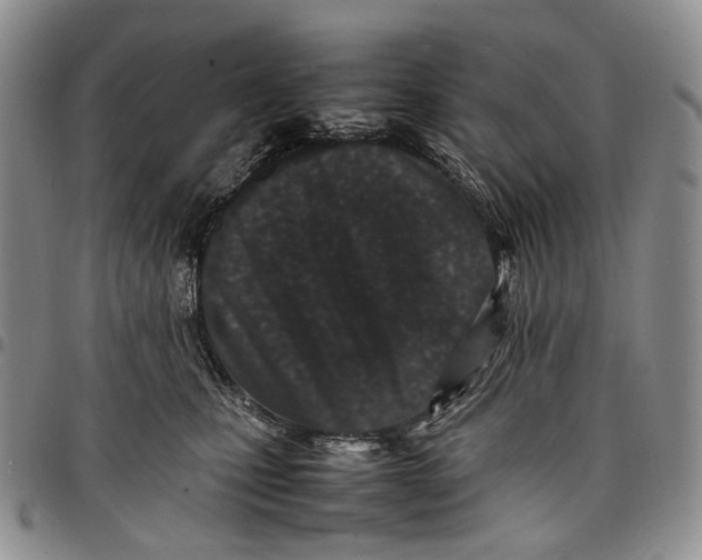 X0000097980471200804141121