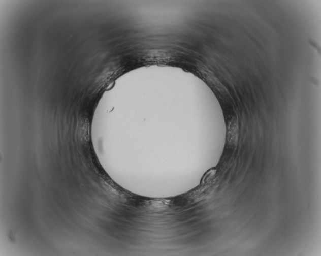 X0000097980474200804141121