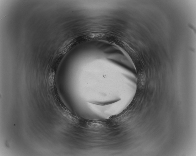 X0000097980475200804141121