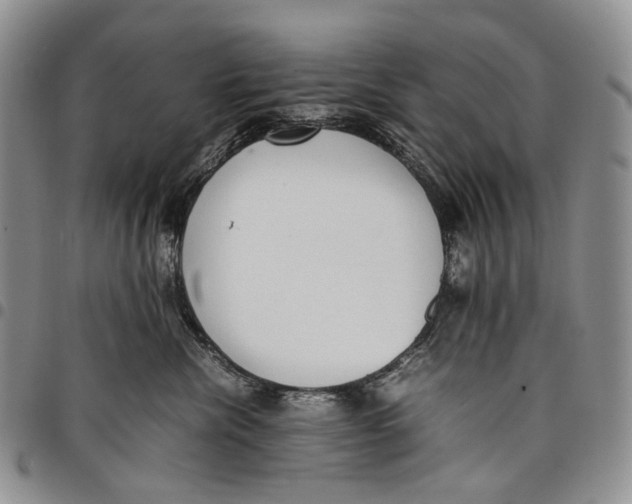 X0000097980476200804141121