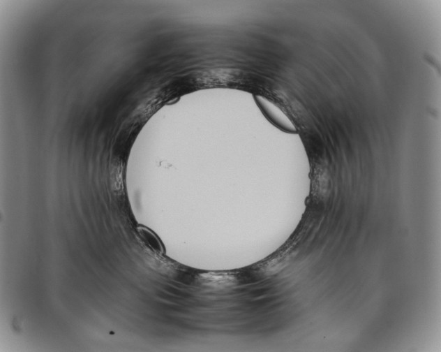 X0000097980477200804141121