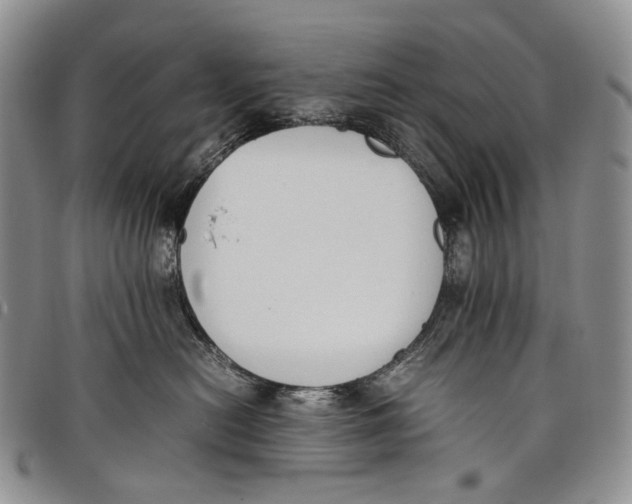 X0000097980478200804141121