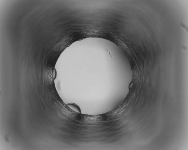 X0000097980479200804141121