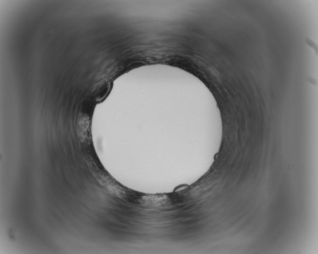 X0000097980480200804141121