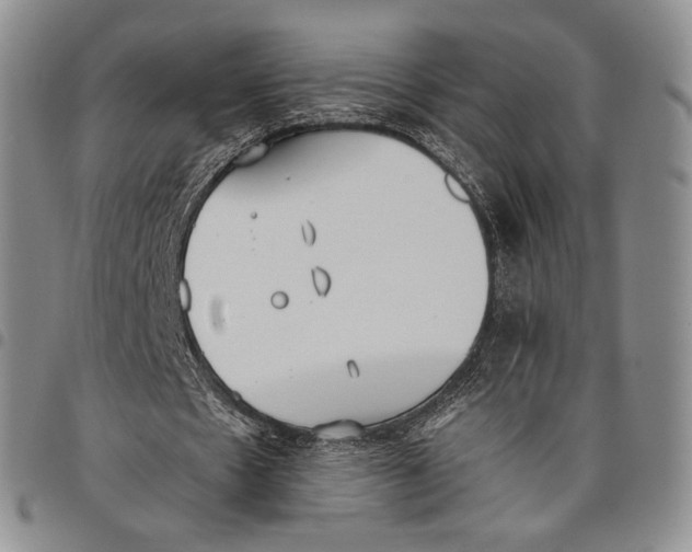 X0000097980481200804141120