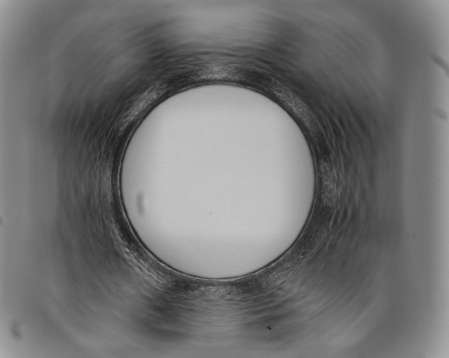 X0000097980482200804141120