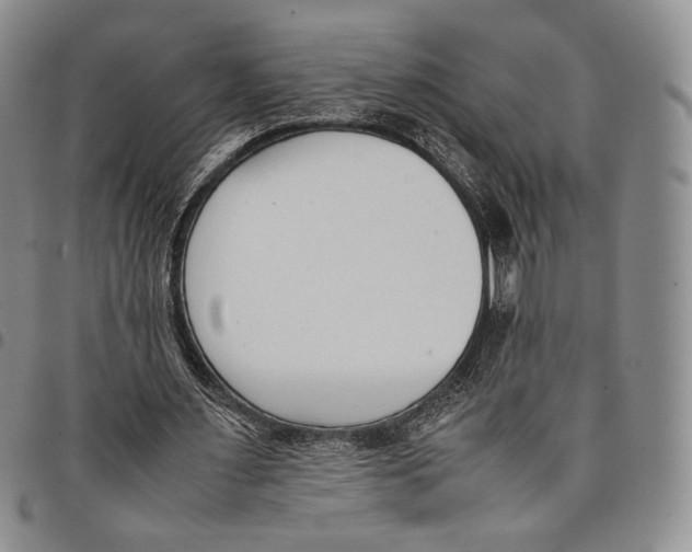 X0000097980483200804141120