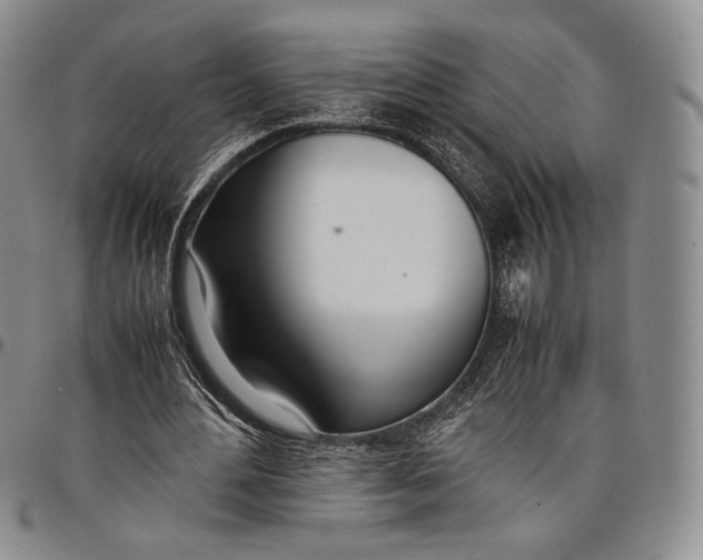 X0000097980484200804141120