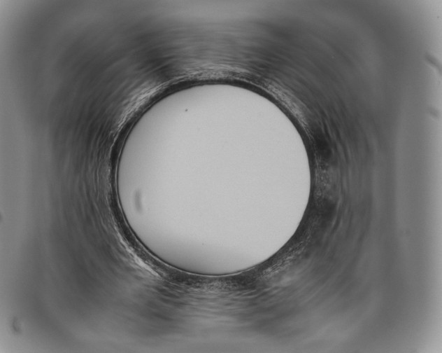 X0000097980485200804141120