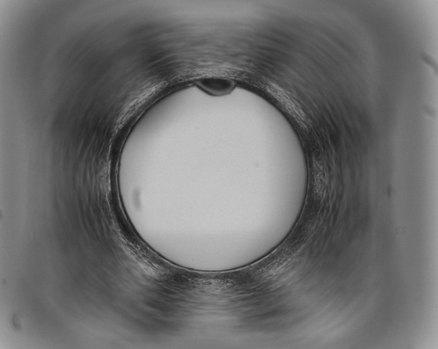 X0000097980486200804141120