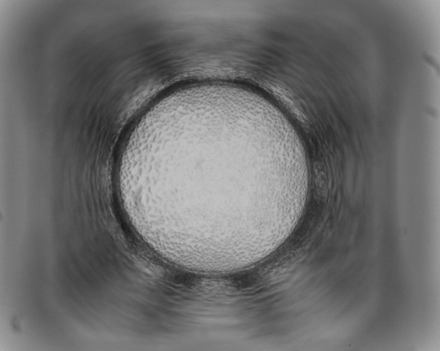 X0000097980487200804141120