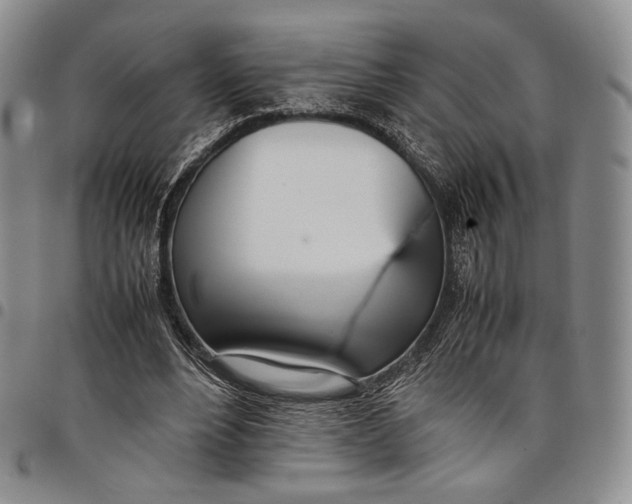 X0000097980488200804141120