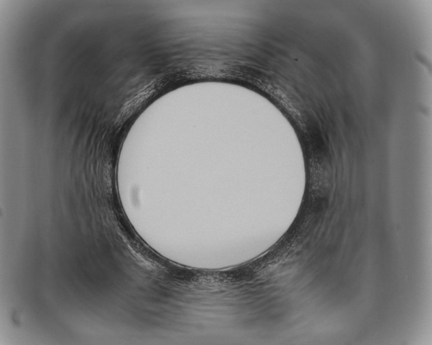 X0000097980489200804141120