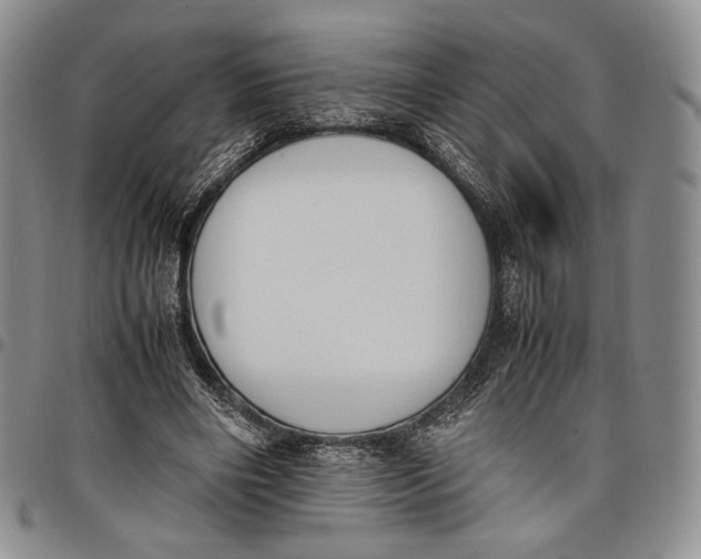 X0000097980490200804141120