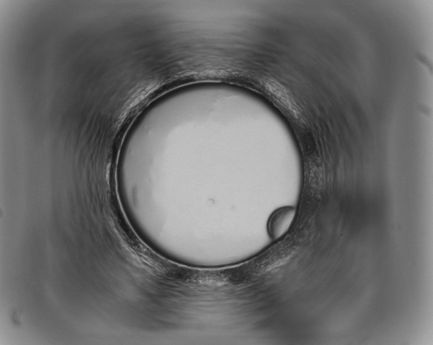 X0000097980491200804141120