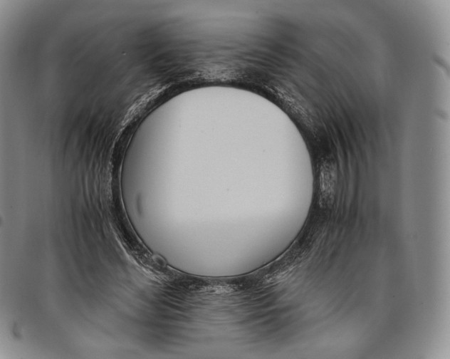 X0000097980492200804141120