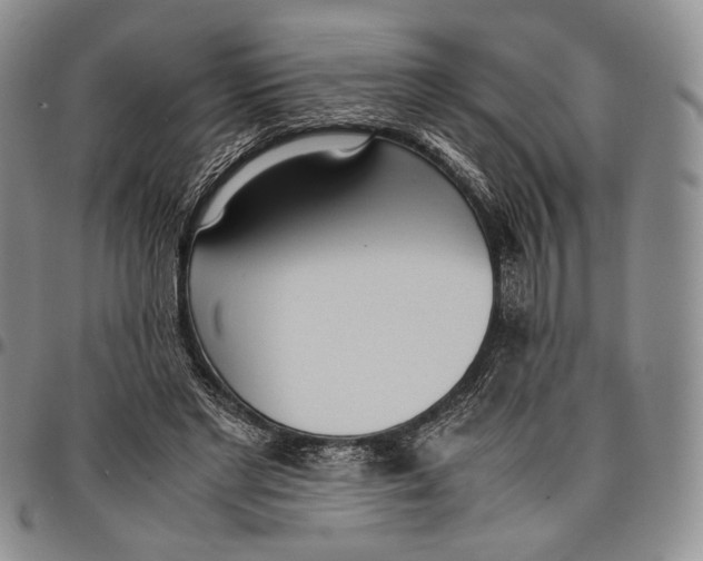 X0000097980493200804141120