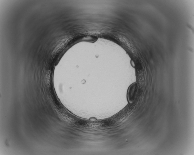 X0000097980495200804141120