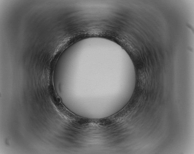 X0000097980496200804141120