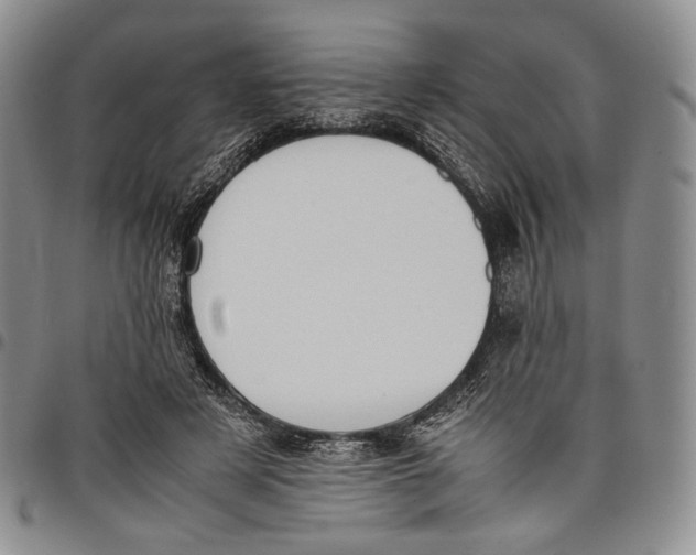 X0000097980497200804141120