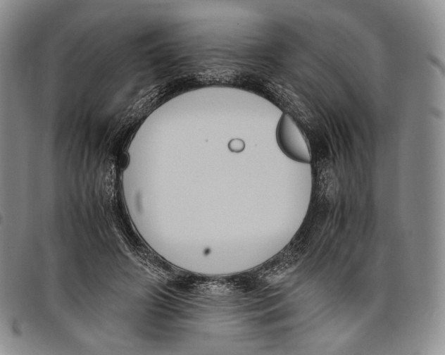 X0000097980498200804141120