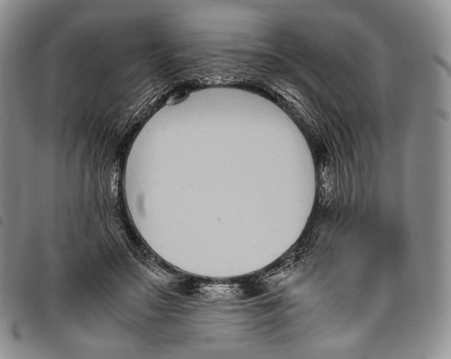 X0000097980499200804141120