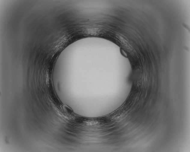 X0000097980500200804141120