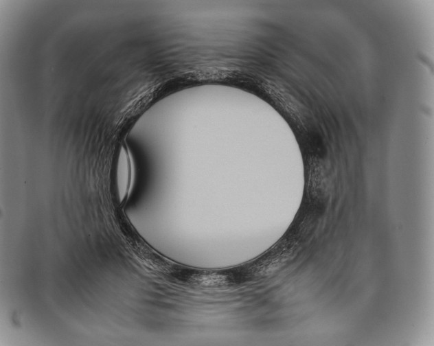 X0000097980501200804141120