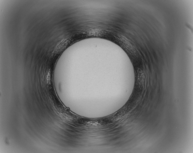 X0000097980502200804141120