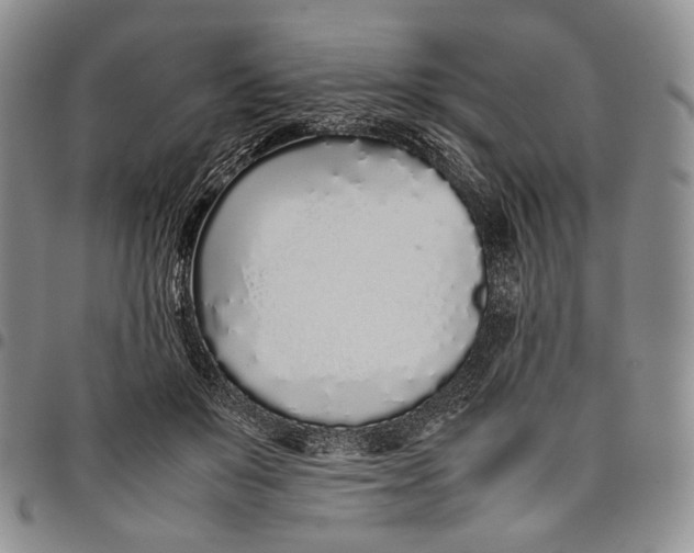 X0000097980503200804141120