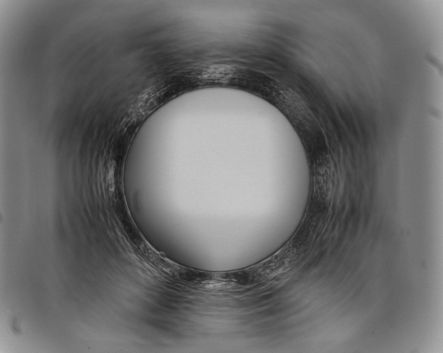 X0000097980504200804141120