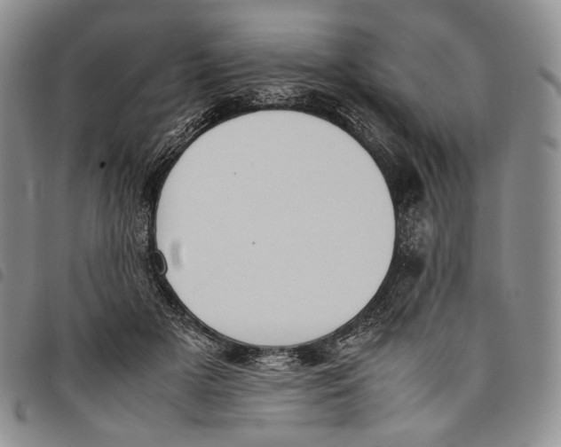 X0000097980505200804141120