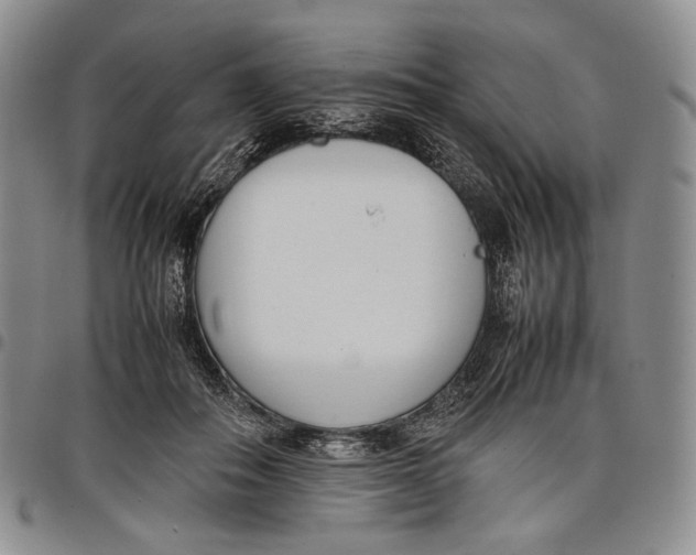 X0000097980506200804141120