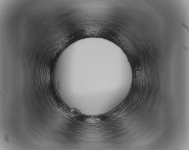 X0000097980508200804141120