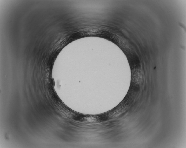 X0000097980509200804141120