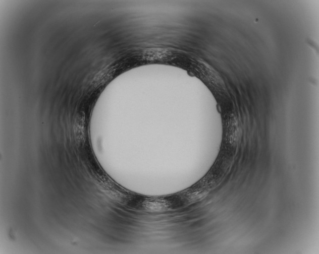 X0000097980510200804141120